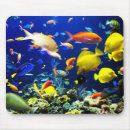 Search for bottom mousepads Fish