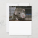 Search for ears invitations Animal