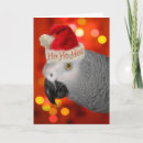 Search for african grey parrot christmas cards Pets