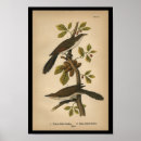 Search for cuckoo posters Lithograph
