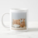 Search for plush mugs Cute