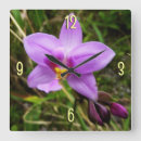 Recherche de orchidée sauvage horloges Nature