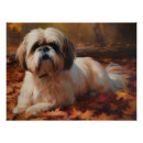 Recherche de shih tzu posters Animal de compagnie
