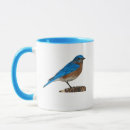 Search for bluebirds mugs Cute