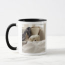 Search for hiding mugs Indoors