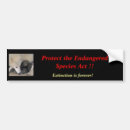 Search for wolves bumper stickers Animals