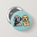Search for dog meme Pets
