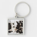 Search for great dane puppy keychains Animal