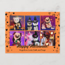 Search for sweet orange postcards Black