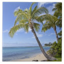 Recherche de hawaï carreaux Vacances