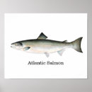 Search for fly fishing posters Fisherman