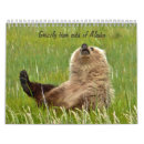 Recherche de ours gris bureau fournitures L'alaska