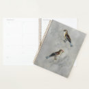 Recherche de deux oiseaux bureau fournitures Animal