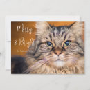 Search for feline christmas cards Trendy