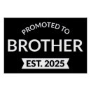 Recherche de frère posters Brother