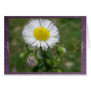 Recherche de ligne de flottaison Floral