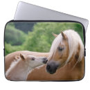 Search for horse laptop cases Foal