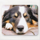 Search for collie mousepads Border collies