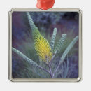 Search for springtime ornaments Flower
