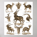 Recherche de mis en danger posters Conservation
