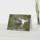Search for lamb birthday cards Happy