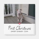 Recherche de patte de chien magnets Moderne