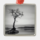 Search for bared ornaments Outdoors