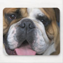 Recherche de la belgique tapis souris Belge