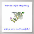 Recherche de arbre de liffe art Évolution