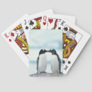 Search for penguins playing cards Nature