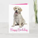 Search for yellow labrador birthday cards Puppies