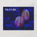 Recherche de bleu électrique cartes postales Fleur