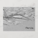 Search for beach grass postcards Landscape