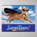 Search for tabby posters Kitten