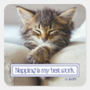 Recherche de chaton adorable autocollants Animal