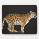 Search for aggressive standard mousepads Wildlife