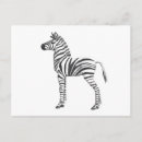 Search for cute baby zebra postcards Safari