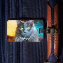 Search for russian photography Cat