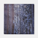 Search for sequoia national park magnets Usa