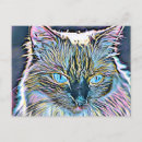 Search for ragdoll postcards Cute