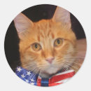 Search for patriotic cat stickers Usa