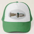 Search for mallards hats Nature