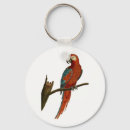 Search for pet parrot keychains Animal