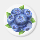 Recherche de bleuet magnets Fruits