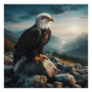 Search for eagle posters Mountain