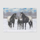 Recherche de appaloosa Neige