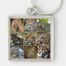 Search for wildcat keychains Wildlife