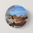 Search for hare buttons Rabbits