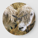 Search for sheep clocks Funny