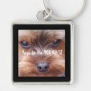Search for dog house keychains Fun